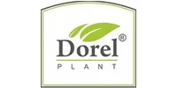 Dorel Plant