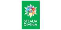 Steaua Divina