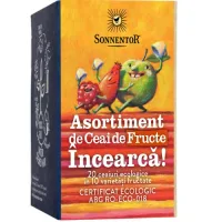 Ceai Incearca!-Asortiment de Ceai de Fructe 20pl, Sonnentor