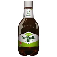 SGR-Kombucha Clasic Eco 330ml Life