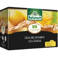 Ceai de Ghimbir cu Lamie Fantasy 15dz X 1.5gr Naturavit