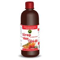 Sirop Catina + Macese 500ml Hypericum
