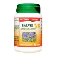 Salvie 40cps Favisan