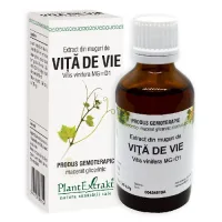 Extract Muguri Vita De Vie 50ml Plantextract 