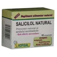 Saliciloil Natural, 60cpr, Hofigal 