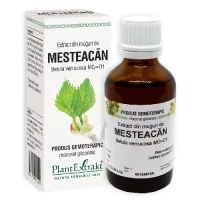 Extract din Muguri de Mesteacan 50ml Plantextrakt