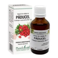 Extract din mlădiţe de Păducel, 50ml, PlantExtrakt