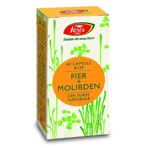 Fier + Molibden 60cps Fares