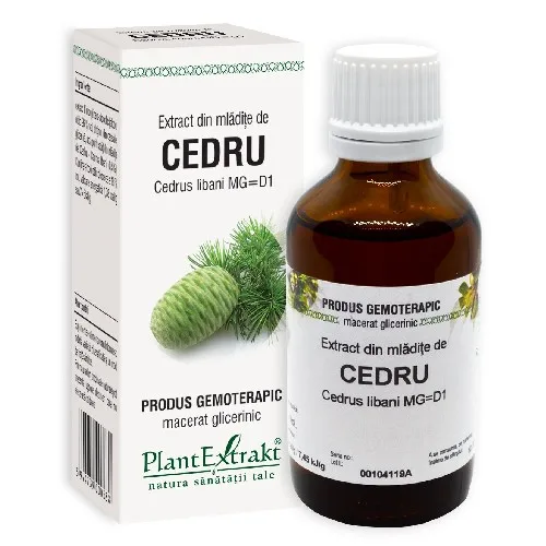 Extract din Mladite de Cedru 50ml Plantextrakt