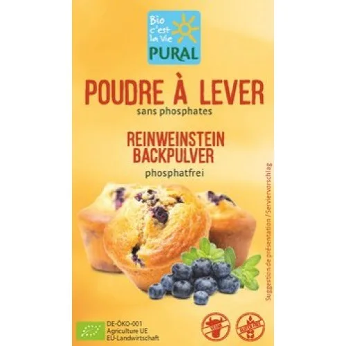 Praf de Copt fara Gluten Eco, 21gr, Pural