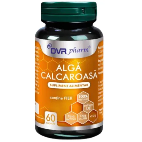 Alga Calcaroasa 60cps DVR