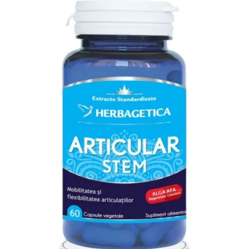 Articular+Stem 60cps Herbagetica