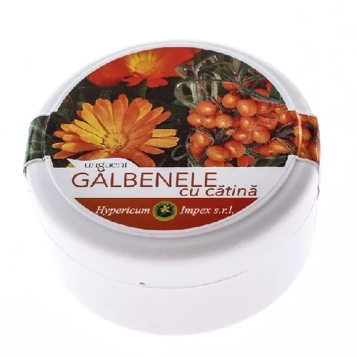 Unguent Galbenele+Catina 90ml Hypericum