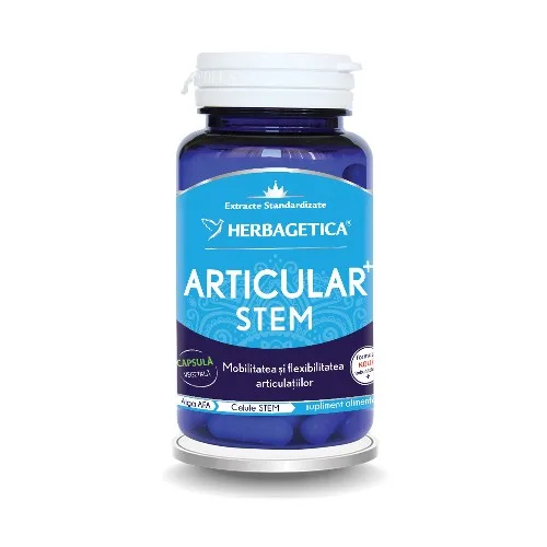 Articular Stem 60cps Herbagetica