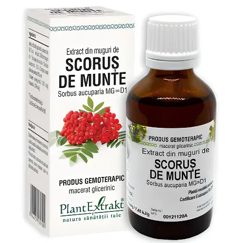 Extract Din Muguri De Scorus de Munte 50ml  Plantextrakt