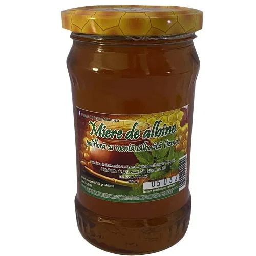 Miere poliflora cu menta, 400 gr, Apiplant