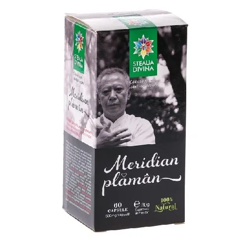 Meridian Plaman 100ml Steaua Divina