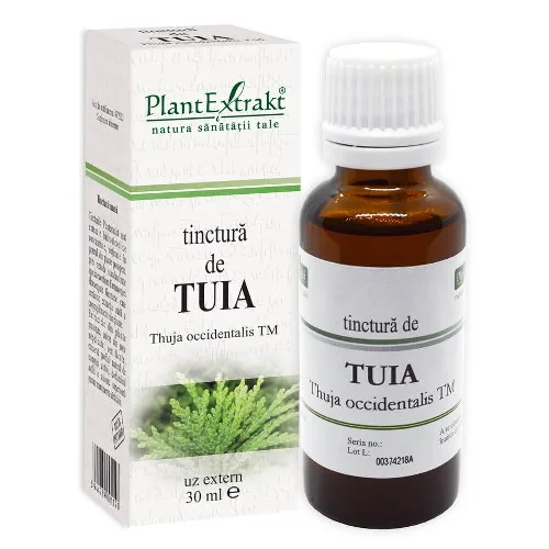 Extract mladite de Tuia 50ml Plantextrakt