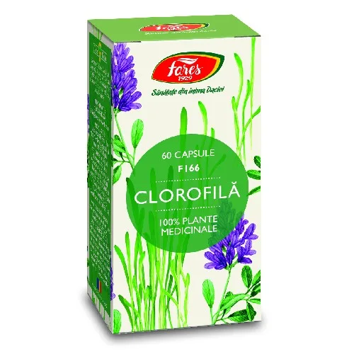 Clorofila 60cps Fares