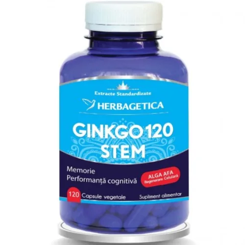 Ginkgo 120 Stem 120cps Herbagetica