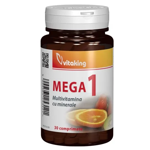 Multivitamina Mega-1 30cpr Vitaking