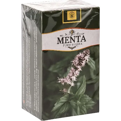 Ceai Menta 20dz Stefmar