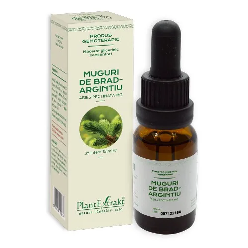 Muguri de Brad Argintiu 15 ml PlantExtrakt