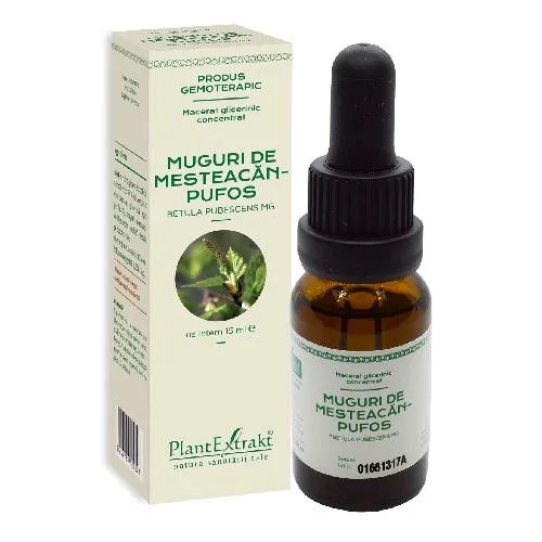 Concentrat Muguri Mesteacan Pufos 15ml PlantExtrakt