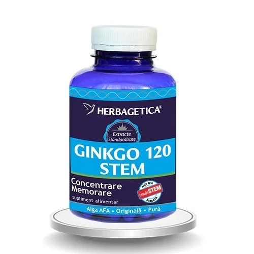 Ginkgo 120 Stem 120cps Herbagetica