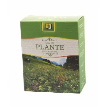 Ceai Angelica 50g Stefmar