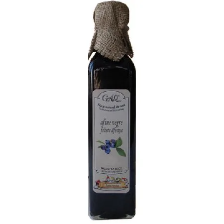 Sirop de Afine Negre 500ml Gall