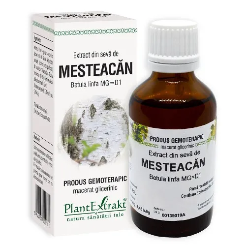 Extract din Seva de Mesteacan 50ml Plantextrakt