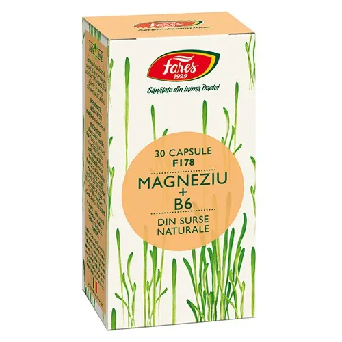 Magneziu+B6 30cps Fares