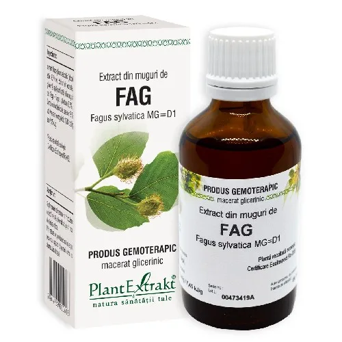 Extract din Muguri de Fag 50ml Plantextrakt