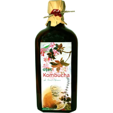 Otet Kombucha 500ml Pro Natura