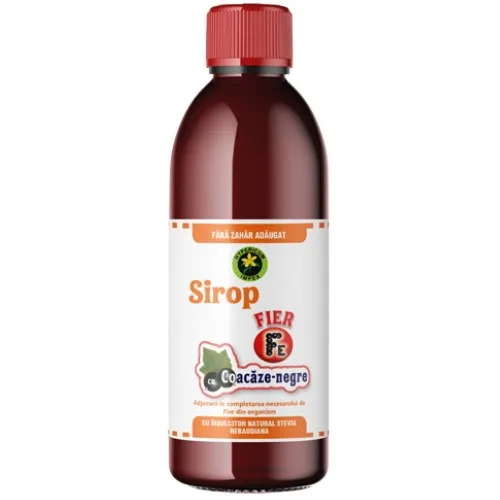 Sirop Fier cu Coacaze Negre, Indulcit cu Stevie, 500ml, Hypericum