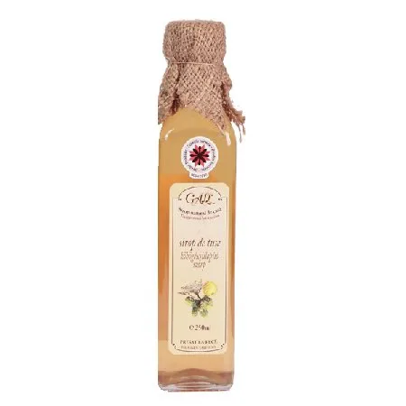 Sirop de Tuse 250ml Gall