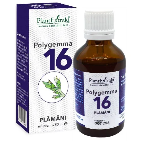 Polygemma 16 - Plamani - 50ml,  Plantextrakt 