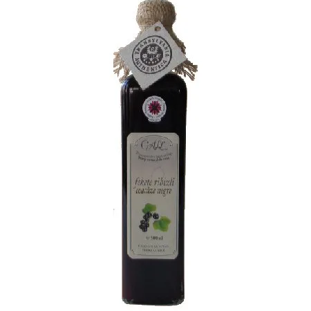 Sirop de Coacaz Negre 250ml Gall