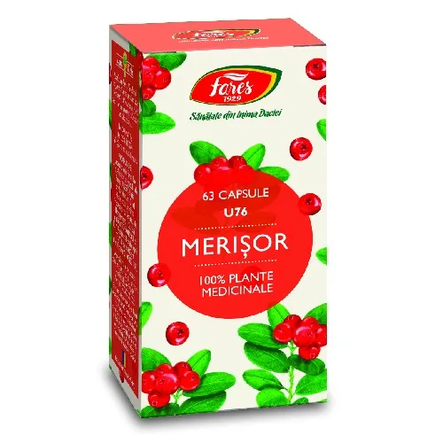 Merisor 63cps Fares