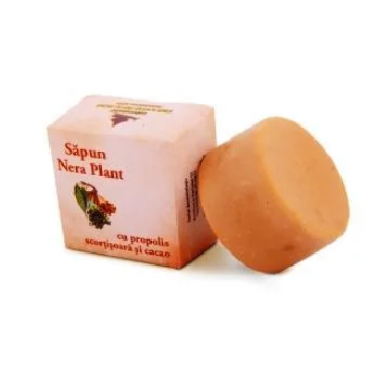 Sapun Cu Scortisoara Propolis si Cacao Nera 60gr