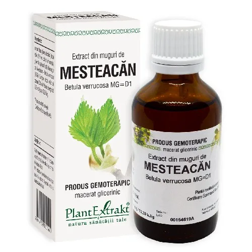 Extract din Muguri de Mesteacan 50ml Plantextrakt