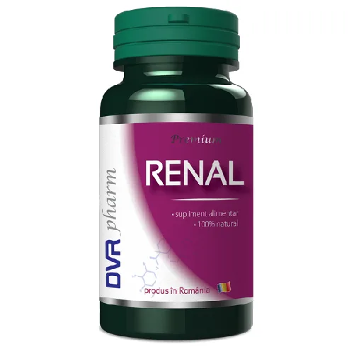 DVR Renal 60cps