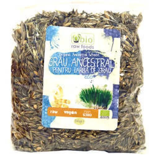 Grau Ancestral pentru Iarba de Grau Bio 500gr Obio