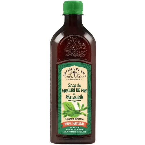 Sirop Muguri Pin Patlagina 500ml, Aroma Plant
