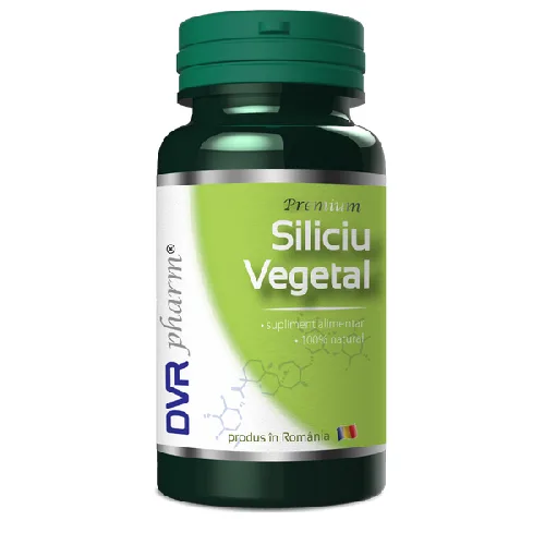 DVR Siliciu Vegetal 60cps