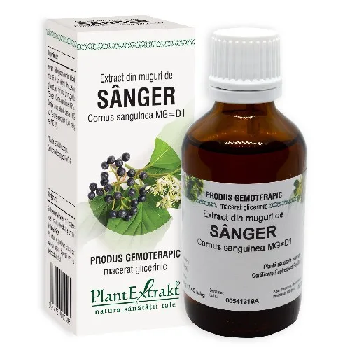 Extract din Muguri de Sanger 50ml Plantextrakt