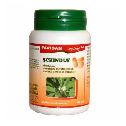 Schinduf 40cps Favisan